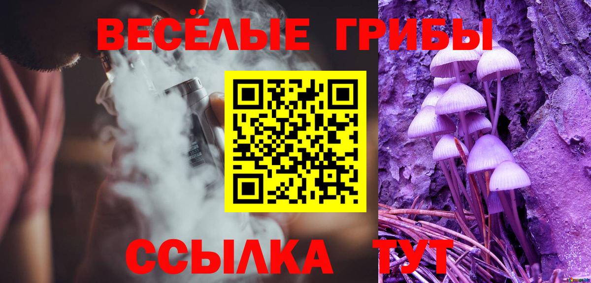 Батайск  Псилоцибиновые грибы Cubensis  Галлюциногенные грибы GOLDEN TEACHER  Вход с VPN 